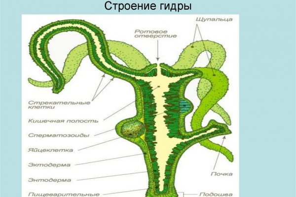 Кракен стор